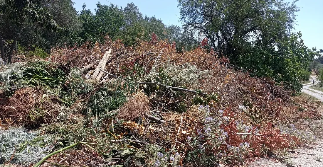 Θεσσαλονίκη: Ξερά χόρτα και κλαδέματα έφυγαν από τα οικόπεδα και έγιναν… βουνά στους δρόμους (φωτο+video)