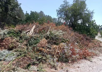 Θεσσαλονίκη: Ξερά χόρτα και κλαδέματα έφυγαν από τα οικόπεδα και έγιναν… βουνά στους δρόμους (φωτο+video)