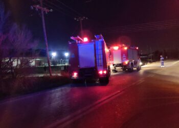 Κάηκε σχεδόν ολοσχερώς το εργοστάσιο με αυγά στη Νεοχωρούδα