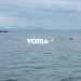 Θεσσαλονίκη: Κοπάδι με δελφίνια βόλταρε στα νερά του Θερμαϊκού (video)