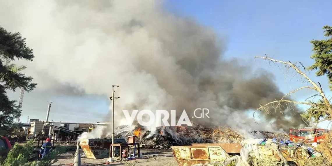 Θεσσαλονίκη: Πυρκαγιά σε εργοστάσιο με ανακυκλώσιμα – Επιχειρεί μεγάλη δύναμη της πυροσβεστικής (video)