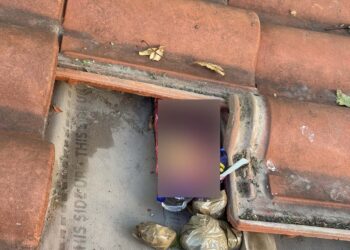 Δενδροπόταμος: Έκρυβαν ναρκωτικά και όπλα στα κεραμίδια (φωτό)