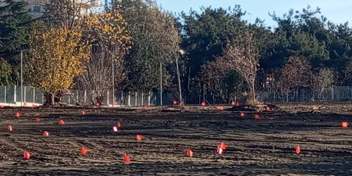 Ξεκινούν οι φυτεύσεις 10.000 δέντρων στο Μητροπολιτικό Πάρκο Παύλου Μελά