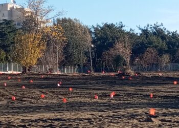 Ξεκινούν οι φυτεύσεις 10.000 δέντρων στο Μητροπολιτικό Πάρκο Παύλου Μελά