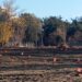 Ξεκινούν οι φυτεύσεις 10.000 δέντρων στο Μητροπολιτικό Πάρκο Παύλου Μελά