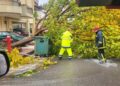Λ. Αλεξανδρίδης: Η κακοκαιρία δεν άφησε «πληγές» στον τόπο μας. Συγχαρητήρια σε όλους τους υπαλλήλους και τους αντιδημάρχους