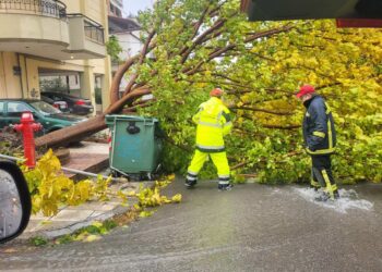 Λ. Αλεξανδρίδης: Η κακοκαιρία δεν άφησε «πληγές» στον τόπο μας. Συγχαρητήρια σε όλους τους υπαλλήλους και τους αντιδημάρχους