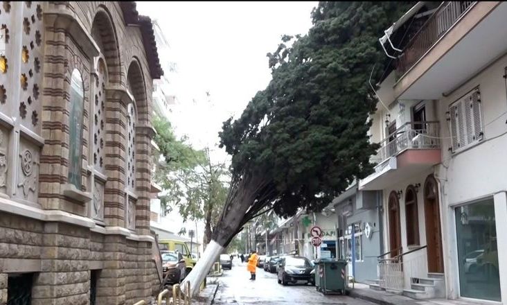 Θεσσαλονίκη: Πεσμένο δέντρο «σκεπάζει» πολυκατοικία για πέντε ολόκληρες μέρες