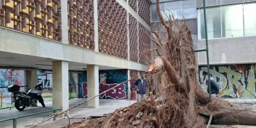 Βομβαρδισμένο τοπίο το ΑΠΘ μετά την κακοκαιρία Bora – Φοιτητές καταγγέλλουν ανευθυνότητα της πρυτανείας (φωτο)