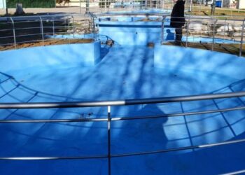 Στο χώρο των Παλαιών Κοιμητητηρίων στο Ελευθέριο Κορδελιό ο Αγιασμός των υδάτων