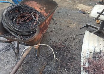Θεσσαλονίκη: Έκαιγαν καλώδια για να πάρουν χαλκό σε επιχείρηση στον Δενδροπόταμο – Δύο συλλήψεις για περιβαλλοντική ρύπανση (φωτο)