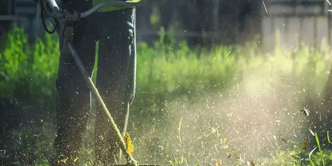 Ακαθάριστα οικόπεδα: Ανοίγει η πλατφόρμα, ποιες οι υποχρεώσεις των ιδιοκτητών – Αγώνας δρόμου από τους δήμους στη Θεσσαλονίκη