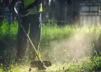 Ακαθάριστα οικόπεδα: Ανοίγει η πλατφόρμα, ποιες οι υποχρεώσεις των ιδιοκτητών – Αγώνας δρόμου από τους δήμους στη Θεσσαλονίκη