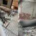Κτηνωδία στη Θεσσαλονίκη: Νεκρές 16 γάτες από δηλητήριο σε γειτονιά της Τούμπας- Σκληρές εικόνες