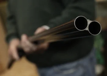 Θεσσαλονίκη: Δώδεκα μήνες φυλάκιση με αναστολή σε 31χρονο που έριξε με κυνηγετικό όπλο το Πάσχα και σκάγια μπήκαν στο μάτι γειτόνισσας