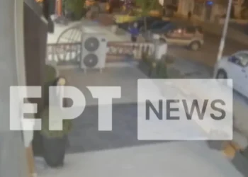 Θεσσαλονίκη: Γυναίκα έκλεψε δεντράκια από παρτέρι μπροστά από κατάστημα εν ώρα λειτουργίας (video)