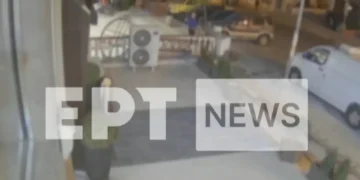 Θεσσαλονίκη: Γυναίκα έκλεψε δεντράκια από παρτέρι μπροστά από κατάστημα εν ώρα λειτουργίας (video)