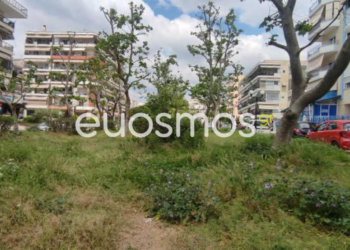 Αρκετές οι καταγγελίες για τα ακαθάριστα πάρκου του Δήμου (φωτό)