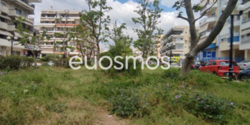 Αρκετές οι καταγγελίες για τα ακαθάριστα πάρκου του Δήμου (φωτό)