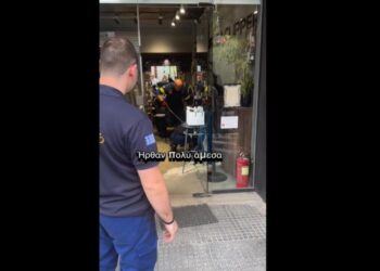Μενεμένη: Πανικός σε μαγαζί που μπήκε μέσα φίδι – Πού έγινε, δείτε βίντεο