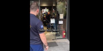 Μενεμένη: Πανικός σε μαγαζί που μπήκε μέσα φίδι – Πού έγινε, δείτε βίντεο