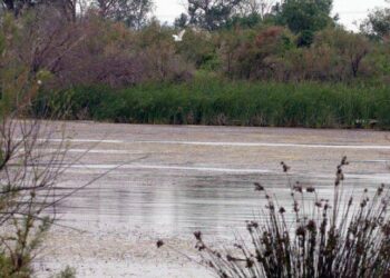 Ωραιόκαστρο: Καθαρισμός ρεμάτων κατά μήκος της εκβολής στον Γαλλικό ποταμό