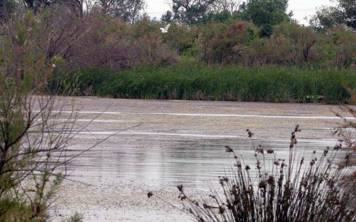 Ωραιόκαστρο: Καθαρισμός ρεμάτων κατά μήκος της εκβολής στον Γαλλικό ποταμό