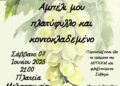 Δήμος Ωραιοκάστρου – 20ο Φεστιβάλ Παραδοσιακών Χορών