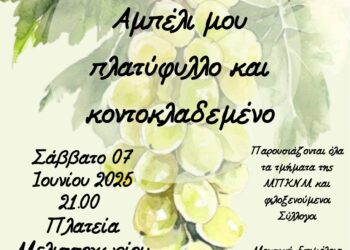 Δήμος Ωραιοκάστρου – 20ο Φεστιβάλ Παραδοσιακών Χορών