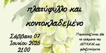 Δήμος Ωραιοκάστρου – 20ο Φεστιβάλ Παραδοσιακών Χορών