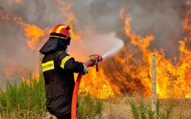 Φωτιά στο Ωραιόκαστρο – Επί τόπου η Πυροσβεστική