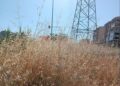Δήμος Κορδελιού – Ευόσμου: Κίνδυνος από τα ξερά χόρτα στον Δήμο Ευόσμου Κορδελιού – “Σπίρτα” έτοιμα να πάρουν φωτιά
