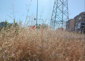 Δήμος Κορδελιού – Ευόσμου: Κίνδυνος από τα ξερά χόρτα στον Δήμο Ευόσμου Κορδελιού – “Σπίρτα” έτοιμα να πάρουν φωτιά