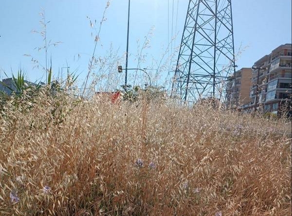 Δήμος Κορδελιού – Ευόσμου: Κίνδυνος από τα ξερά χόρτα στον Δήμο Ευόσμου Κορδελιού – “Σπίρτα” έτοιμα να πάρουν φωτιά