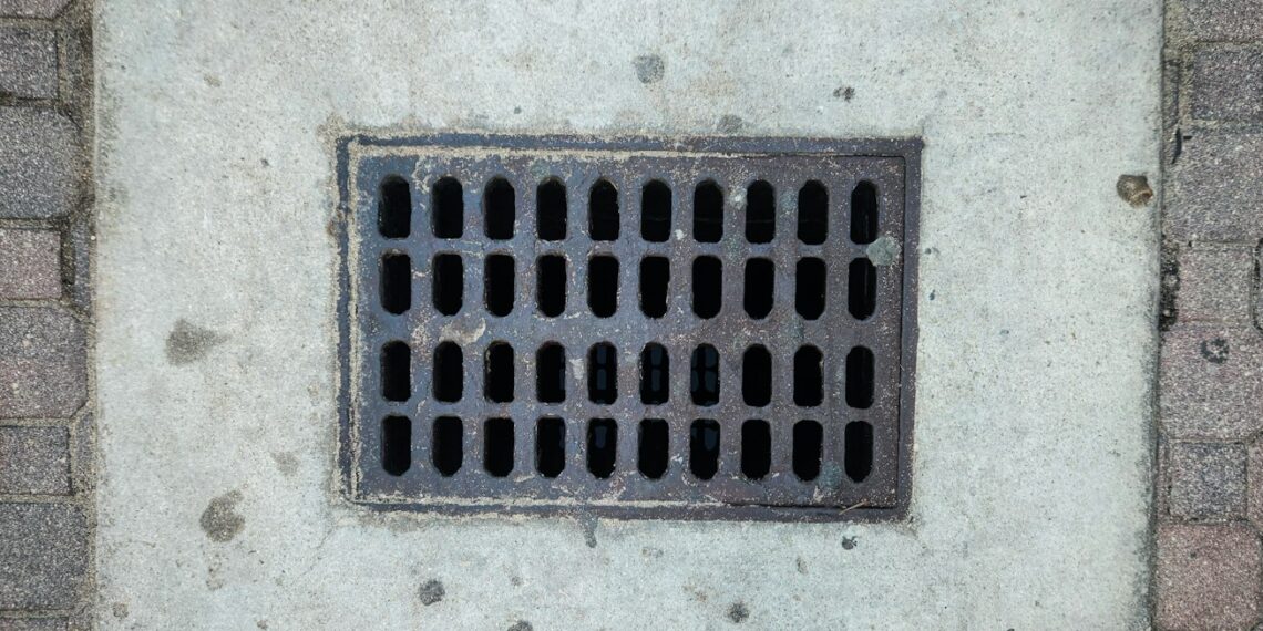 “Eπέλαση” από κατσαρίδες και μυρμήγκια στην Δυτική Θεσσαλονίκη – Αυτοί είναι οι Δήμοι με το μεγαλύτερο πρόβλημα!