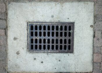 “Eπέλαση” από κατσαρίδες και μυρμήγκια στην Δυτική Θεσσαλονίκη – Αυτοί είναι οι Δήμοι με το μεγαλύτερο πρόβλημα!