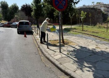 Θεσσαλονίκη: «Ρίξε λίγο νερό, δίνεις ζωή» – Έκκληση για πότισμα δέντρων στον καύσωνα