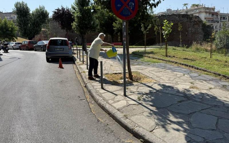 Θεσσαλονίκη: «Ρίξε λίγο νερό, δίνεις ζωή» – Έκκληση για πότισμα δέντρων στον καύσωνα