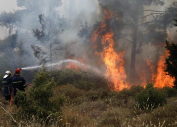 Υψηλός κίνδυνος πυρκαγιάς σήμερα στη Θεσσαλονίκη