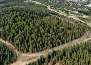 Το νέο δάσος αναψυχής στην Ευκαρπία: Έργο πνοής με καθυστερήσεις και υψηλές προσδοκίες