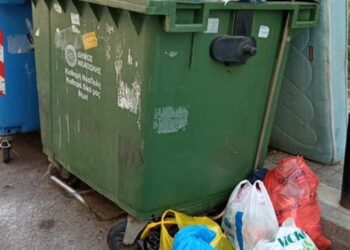 Καλοκαίρι με ποντίκια, σκουπίδια και βρώμικους κάδους: Η κραυγή αγωνίας δημότη του Δήμου Νεάπολης-Συκεών