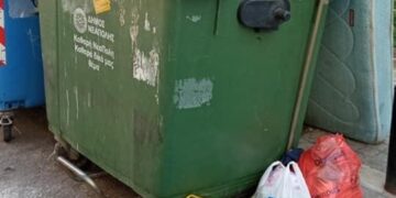 Καλοκαίρι με ποντίκια, σκουπίδια και βρώμικους κάδους: Η κραυγή αγωνίας δημότη του Δήμου Νεάπολης-Συκεών