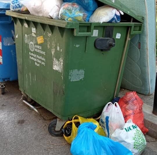 Καλοκαίρι με ποντίκια, σκουπίδια και βρώμικους κάδους: Η κραυγή αγωνίας δημότη του Δήμου Νεάπολης-Συκεών