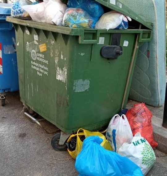 Καλοκαίρι με ποντίκια, σκουπίδια και βρώμικους κάδους: Η κραυγή αγωνίας δημότη του Δήμου Νεάπολης-Συκεών