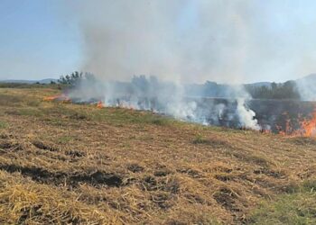 Φωτιά σε περιοχή του Ωραιοκάστρου – Άμεσα υπό έλεγχο