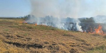 Φωτιά σε περιοχή του Ωραιοκάστρου – Άμεσα υπό έλεγχο