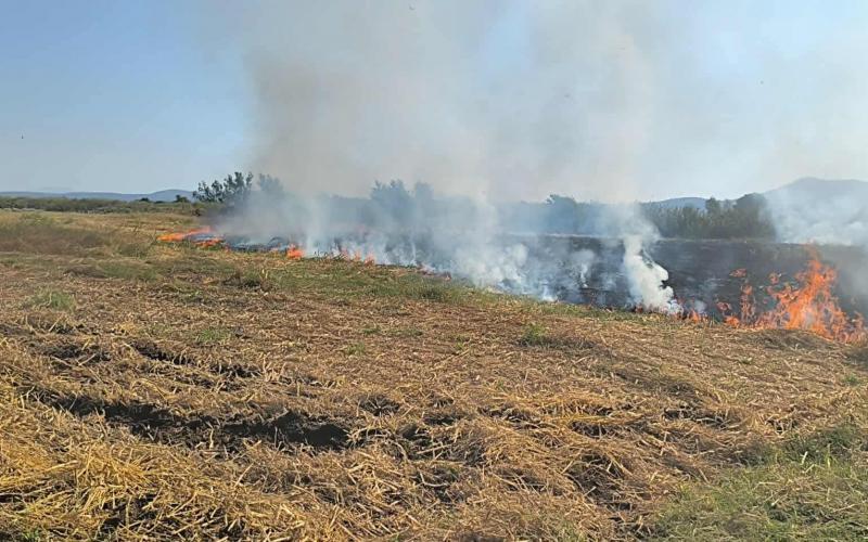 Φωτιά σε περιοχή του Ωραιοκάστρου – Άμεσα υπό έλεγχο