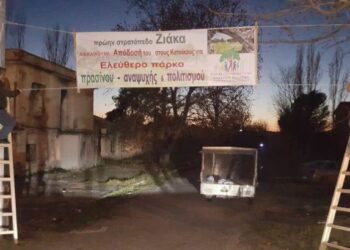 Έκθεση μαθητή του δήμου Κορδελιού Ευόσμου: «Ένα απέραντο μπετό… σε έναν τέτοιο τόπο ζω!»