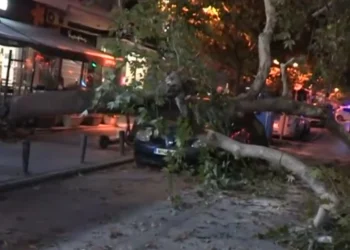 Έπεσε δέντρο και πλάκωσε ΙΧ – Κλειστό ένα ρεύμα κεντρικού δρόμου (VIDEO)