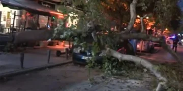 Έπεσε δέντρο και πλάκωσε ΙΧ – Κλειστό ένα ρεύμα κεντρικού δρόμου (VIDEO)